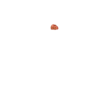 Chokore Chokore Plain Pink color silk tie & Indian at Heart design Light Sea Green & Pink color Satin Silk Pocket Square set Chokore Plain Pink color silk tie & Indian at Heart design Light Sea Green & Pink color Satin Silk Pocket Square set 