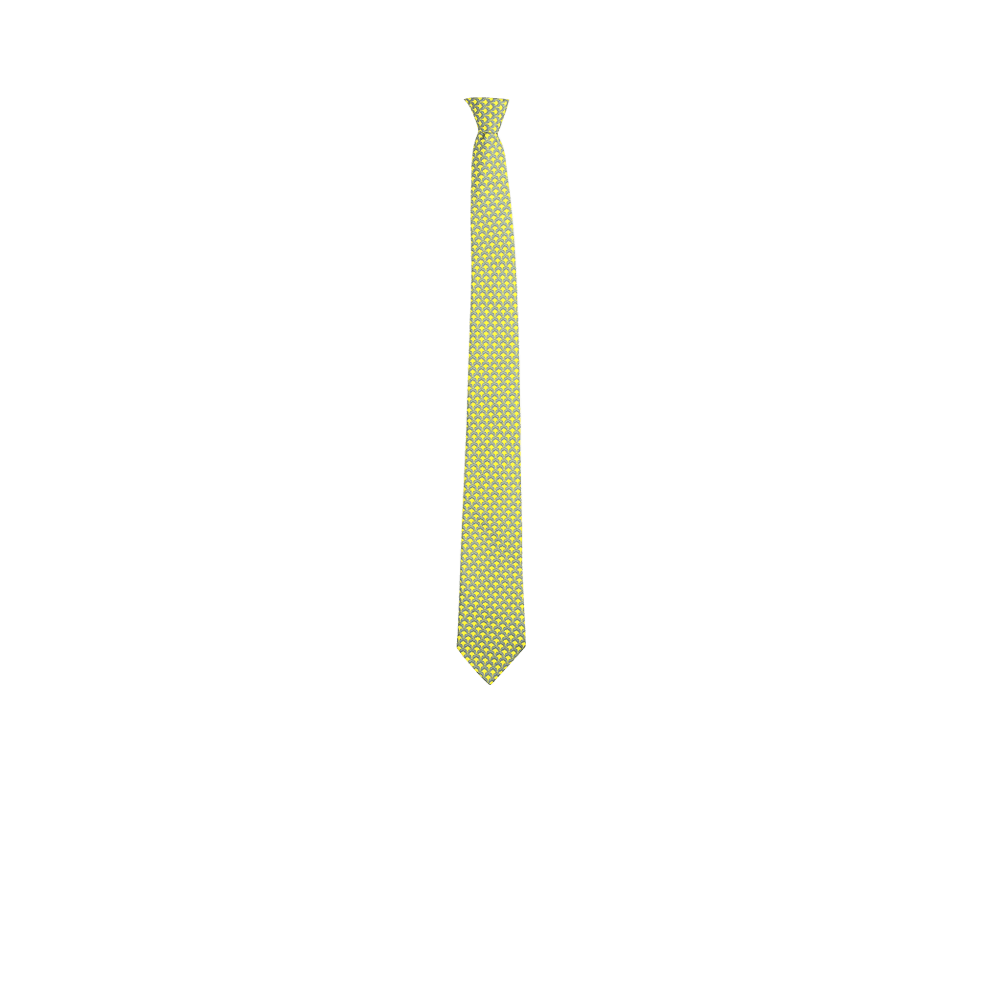 Chokore Grey & Lemon Green Silk Tie - Indian at Heart line