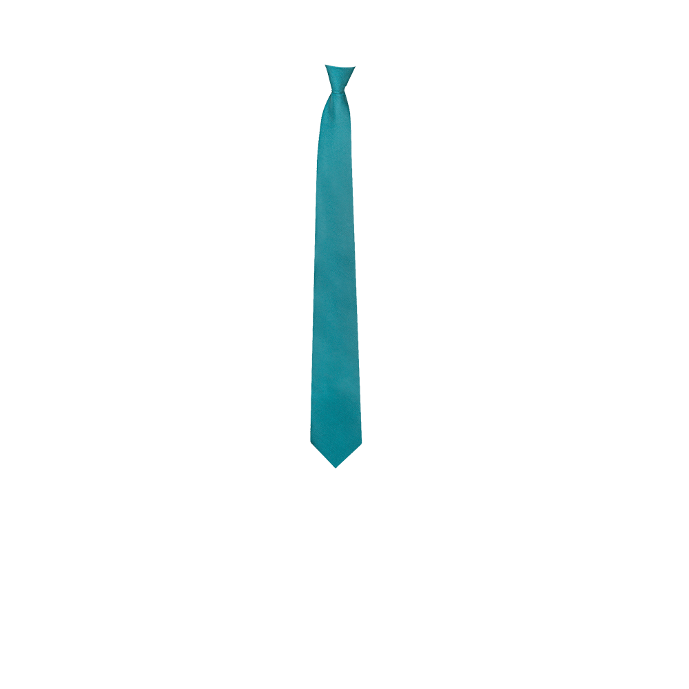 Chokore Light Blue  Silk Tie - Solids line
