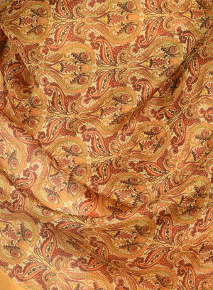 Chokore Printed Tangerine & Rust Silk Stole for Women Printed Tangerine & Rust Silk Stole for Women 